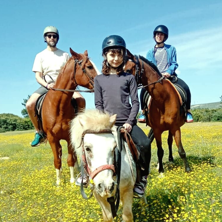 AKBUK HORSE SAFARI