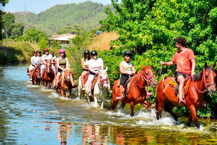 Horse Safari