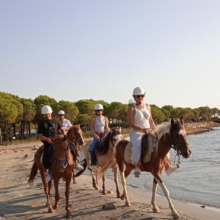 Horse Safari