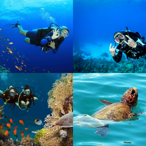 AKBÜK TÜPLÜ DALIŞ